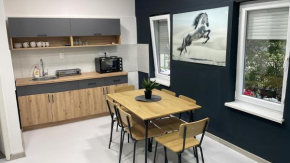 Hedonist-Boulevard Stayhouse